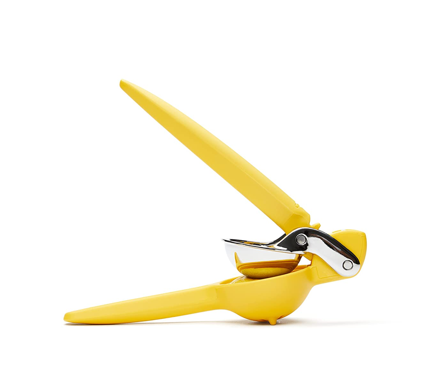 citrus juicer